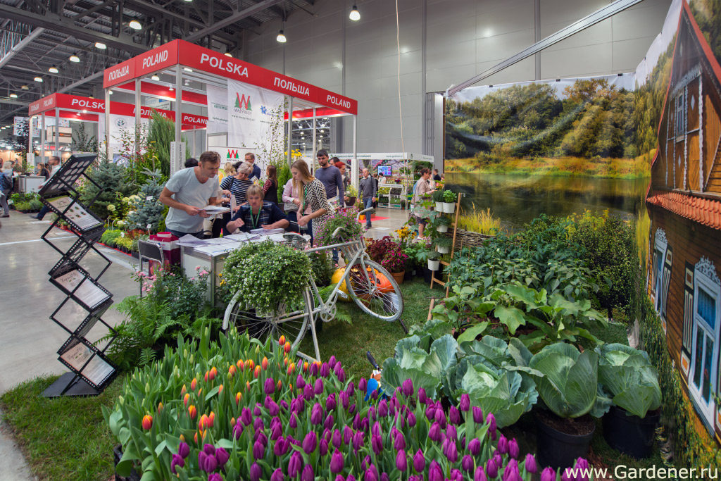 выставка флористики и декора 2019 flowersexpo сада огорода цветов