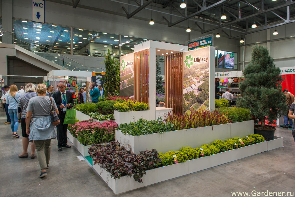выставка флористики и декора 2019 flowersexpo сада огорода цветов