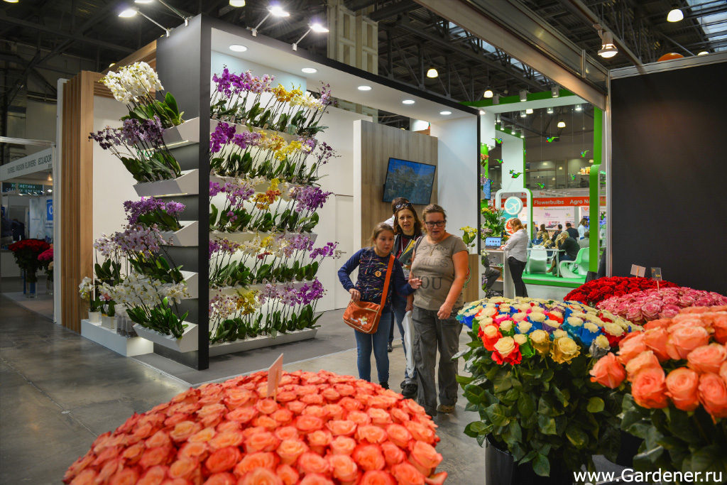 выставка флористики и декора 2019 flowersexpo сада огорода цветов