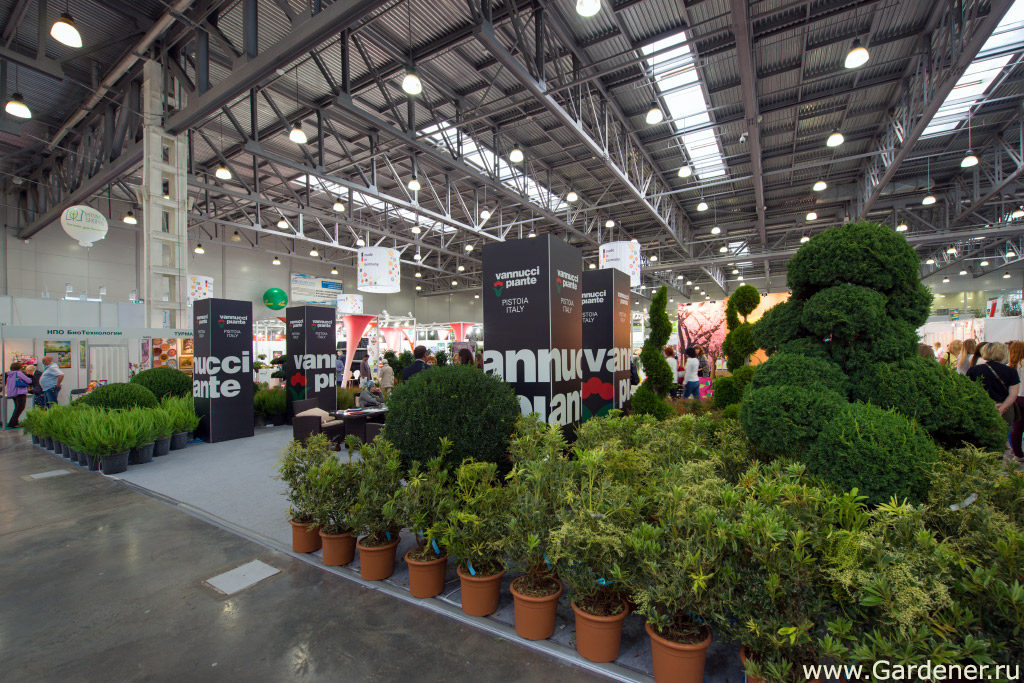 выставка флористики и декора 2019 flowersexpo сада огорода цветов
