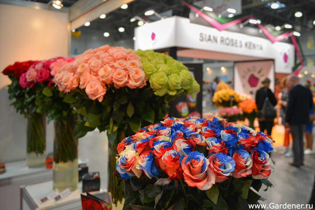выставка флористики и декора 2019 flowersexpo сада огорода цветов