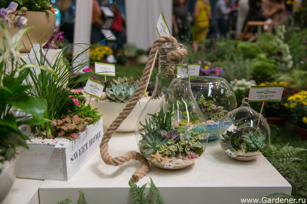 выставка флористики и декора 2019 flowersexpo сада огорода цветов