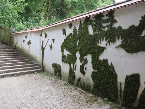 Граффити из мха