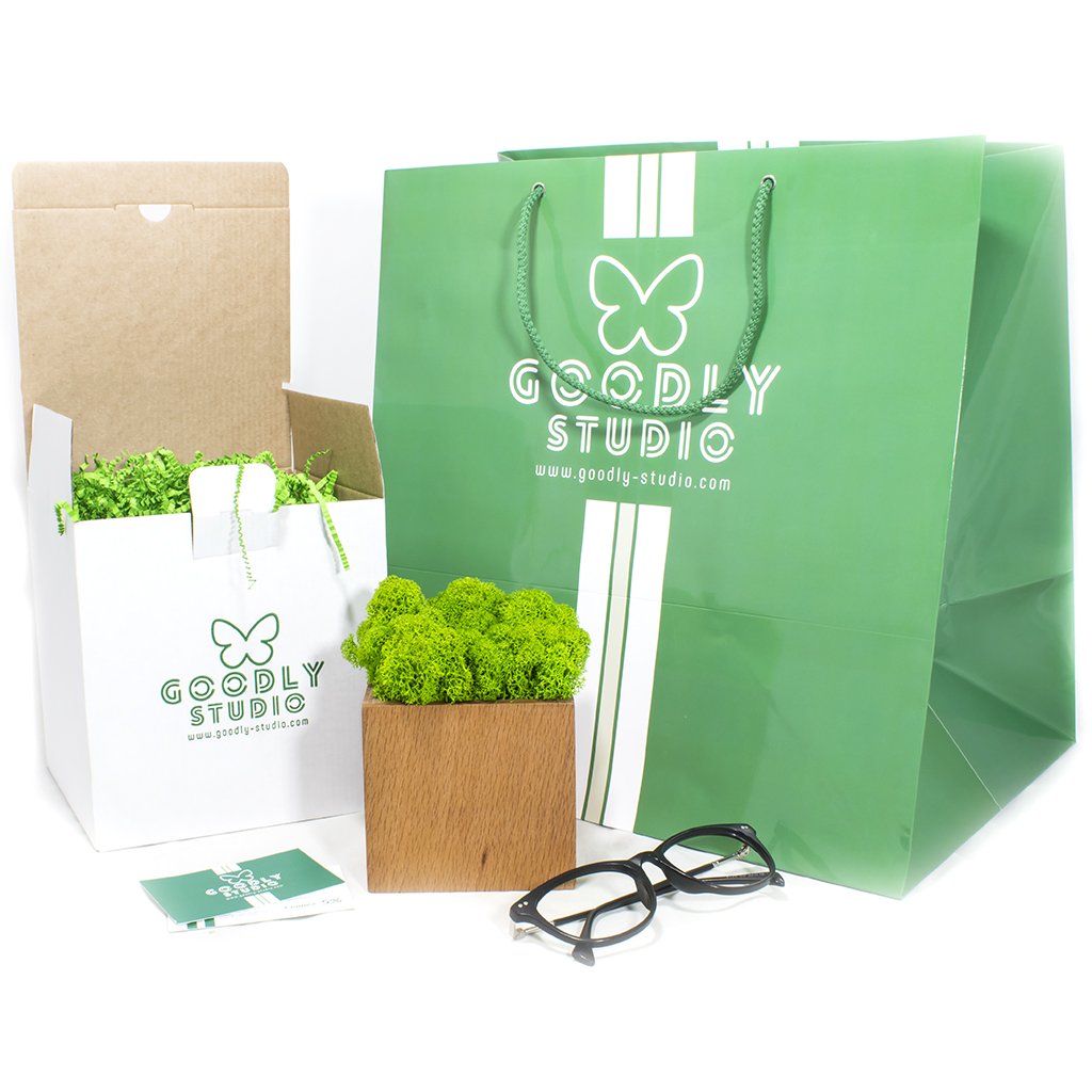 Мох ягель в горшке из дерева. Стабилизированный мох в кашпо из дерева