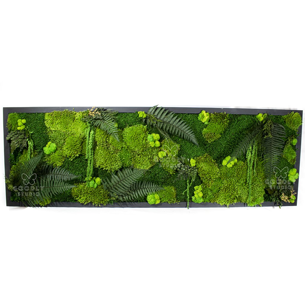 Картина из мха и растений