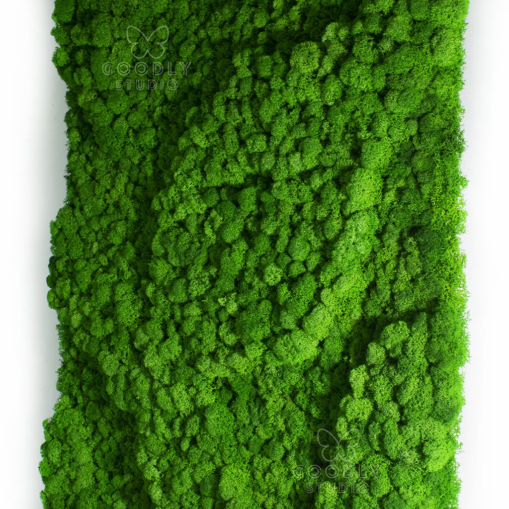 Эко декор Панно из мха